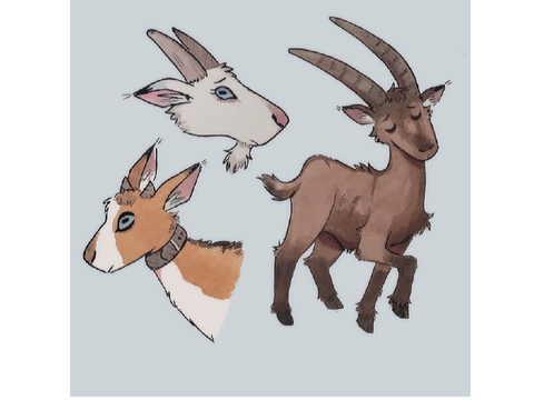 them