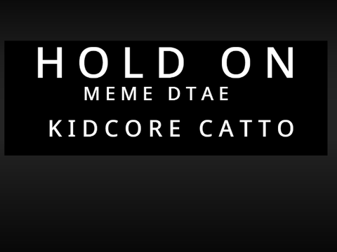 H O L D   O N   M E M E | D T A E