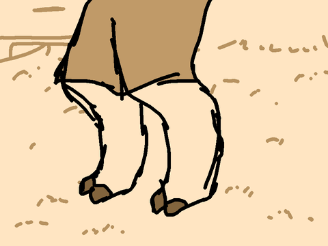 animation practice!  should i do more :)
