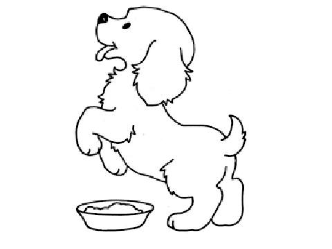 Puppy cc