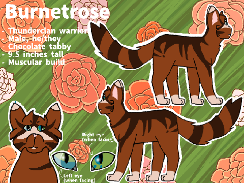 Burnetrose Reference