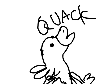 Quack