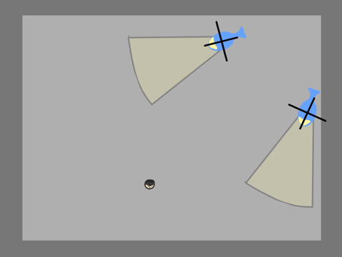 robber hide