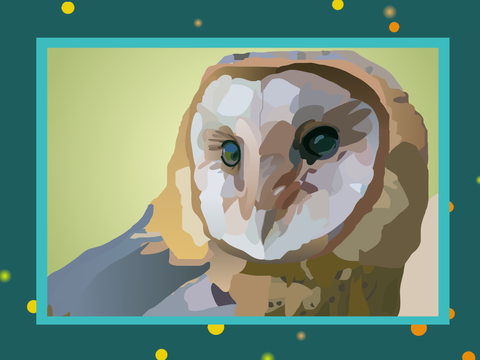 Barn Owl Blockshade