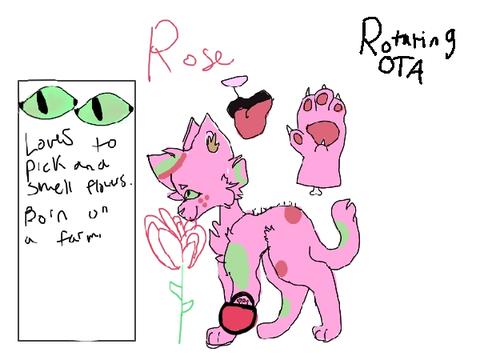 Rotating OTA | come get designs before their gone!