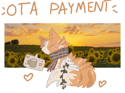 --ota payment--