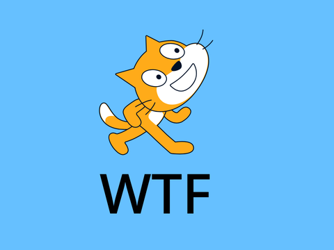 cat goes crazy