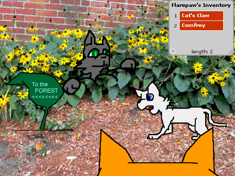 Warrior Cats- The Three Lost Kits