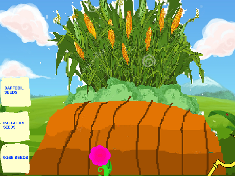 Flower Farm