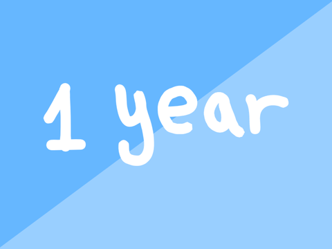 ✎┊1 year ˎˊ-