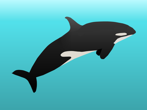 Orca art