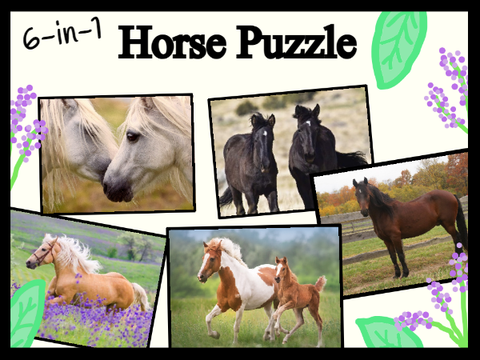 6-in-1 Horse Puzzle