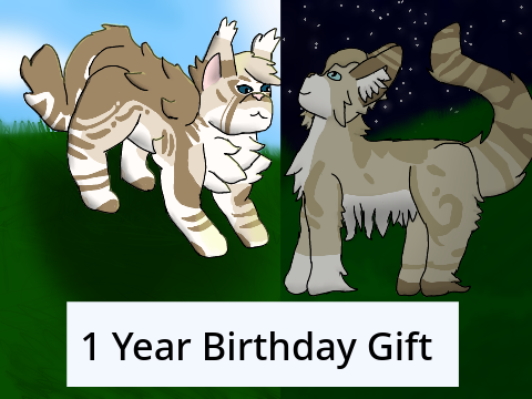 1 Year Birthday Gift