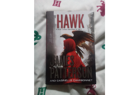 For all Maximum Ride fans!