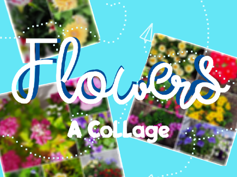  ⚜ ⁞ Flowers || A Collage 