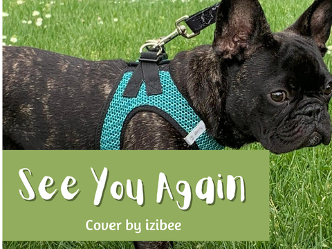 See You Again || Cover by izibee