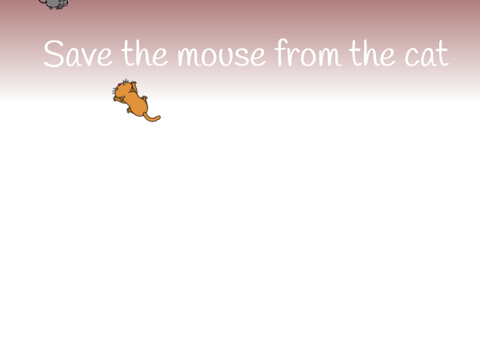 Cat and Mouse