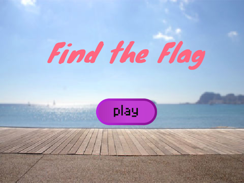 Find the Flag