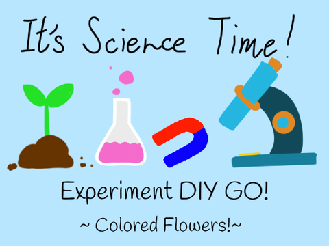 Experiment DIY! ~Colored Flowers!~