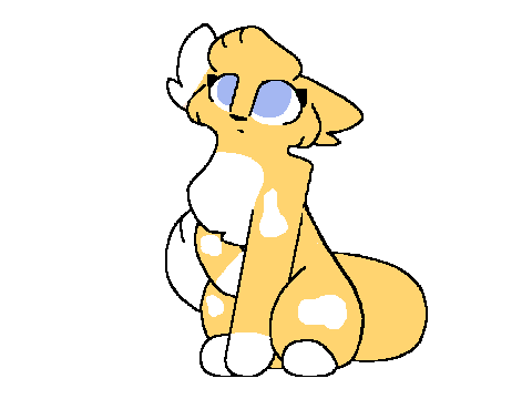 Amberpaw/kit