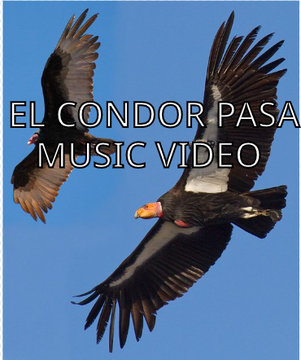 El condor pasa Music Video