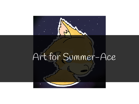 Order for Summer-Ace