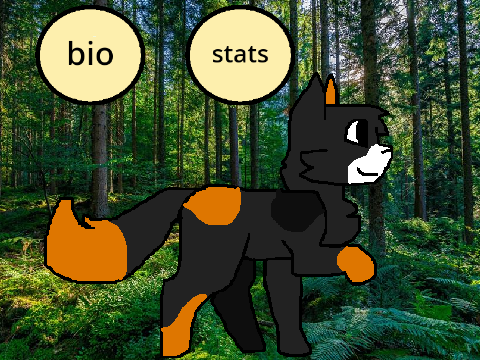 RainClan RP | Patchfur