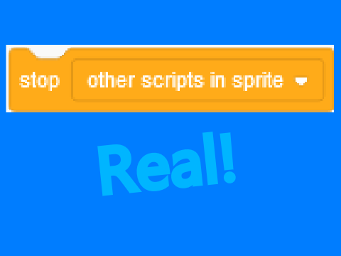 Random Hacked Block