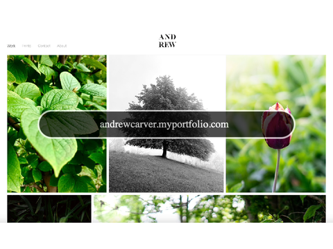 My Portfolio