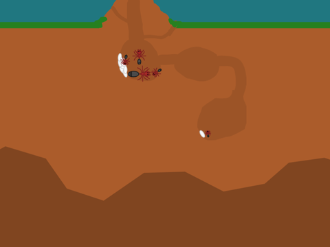 ant colony sim (With World Record)