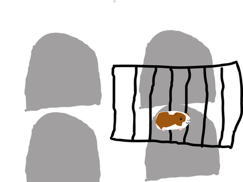 Smore goes camping