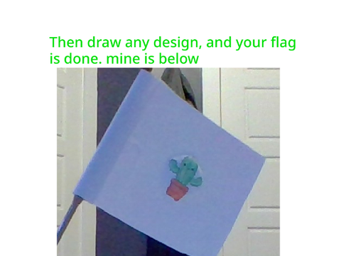 D.I.Y.  Flag(s)