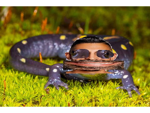 dharmannder
