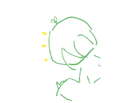 My draw