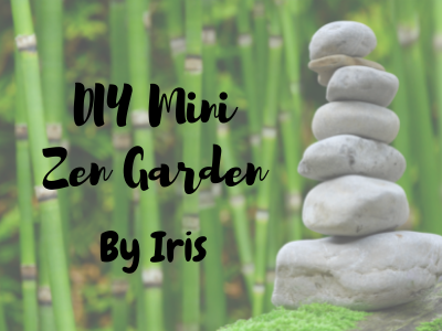 DIY┊Mini Zen Garden