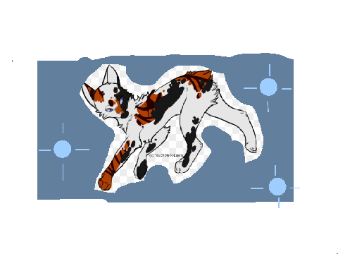 FreeTail