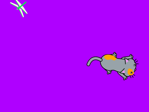 Dragonfly chase