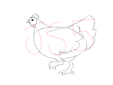 Chicken Gif, don't use without permission