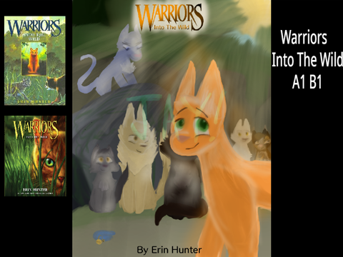 Warriors - Cover Redesigns (WIP!)