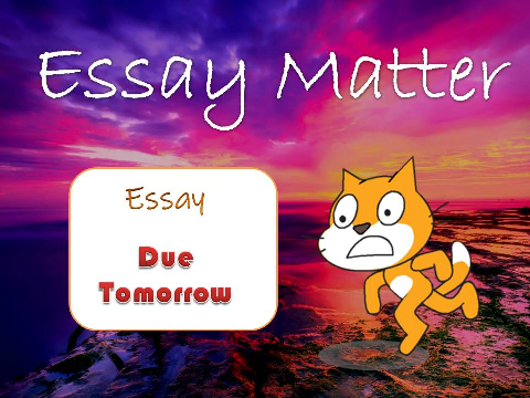>>Essay Matter<<