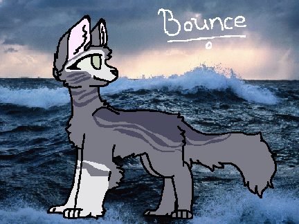 Bouncestar ICRP Ref