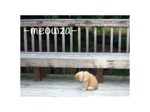 Sign if you care :'( remix