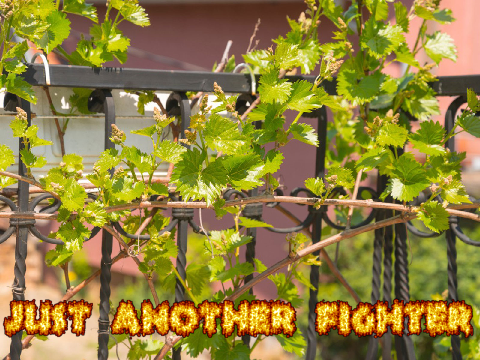 Just another fighter ~ a poem