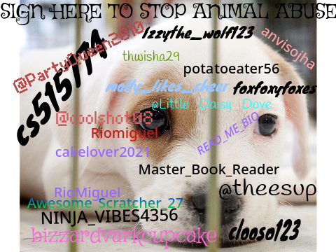 SIGN HERE TO STOP ANIMAL ABUSE  remix remix remix remix remix remix remix