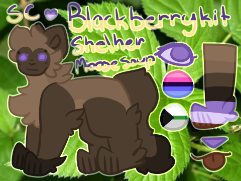 ☆ - - - Blackberrypaw . Custom Reference