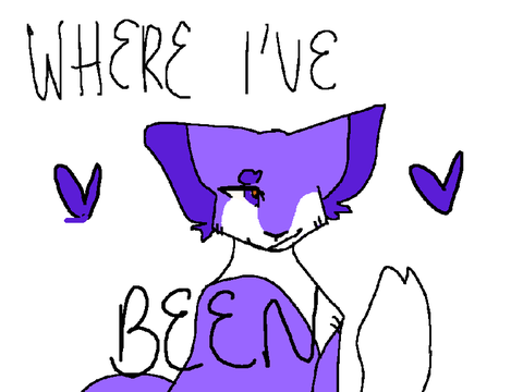 important // where i’ve been