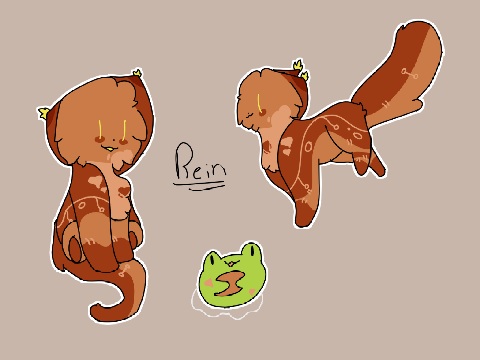 Gift for Rein