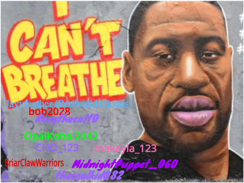 Sign if You Agree that George Floyd was killed by racism! remix