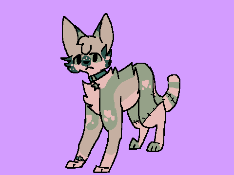 Ella animation entry 