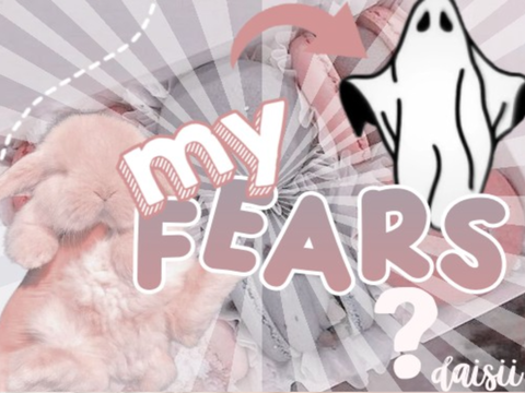 ୨୧ my fearsˎˊ-